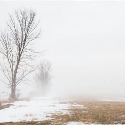 半岛游戏官方网站入口